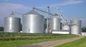 Assembly Steel Silo Bin Grain Corn Grain Storage for Food Beverage Factory