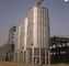 Animal Feed Stainless Steel Grain Bin Silos / Hot Galvanized Metal Grain Silo