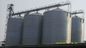 Steel Grain Bin Wheat Corn Storage 100 Tons 200 Tons 500 Tons 1000 Tons